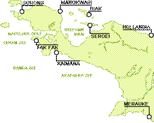 Topografie Nieuw-Guinea